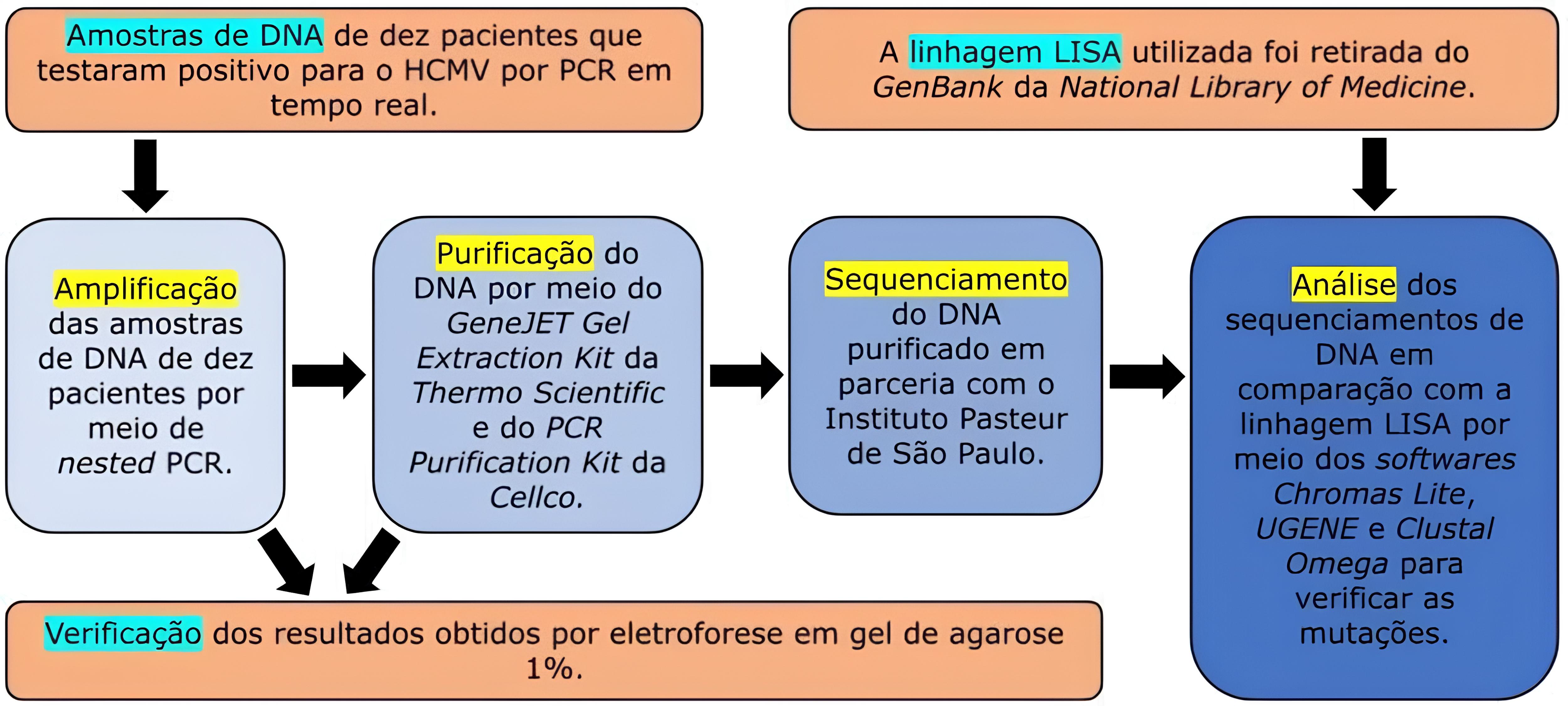 figura 2 giullia liss alves