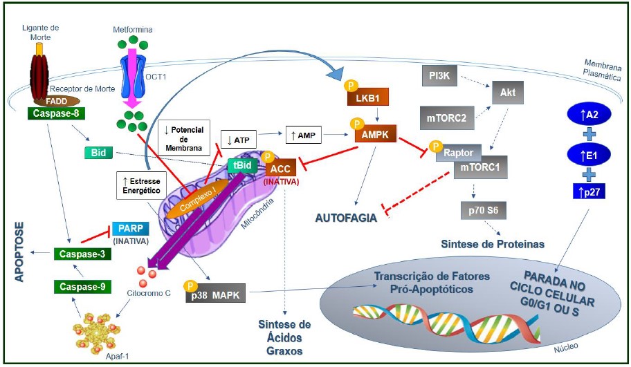 captura de tela 2022 04 03 203118