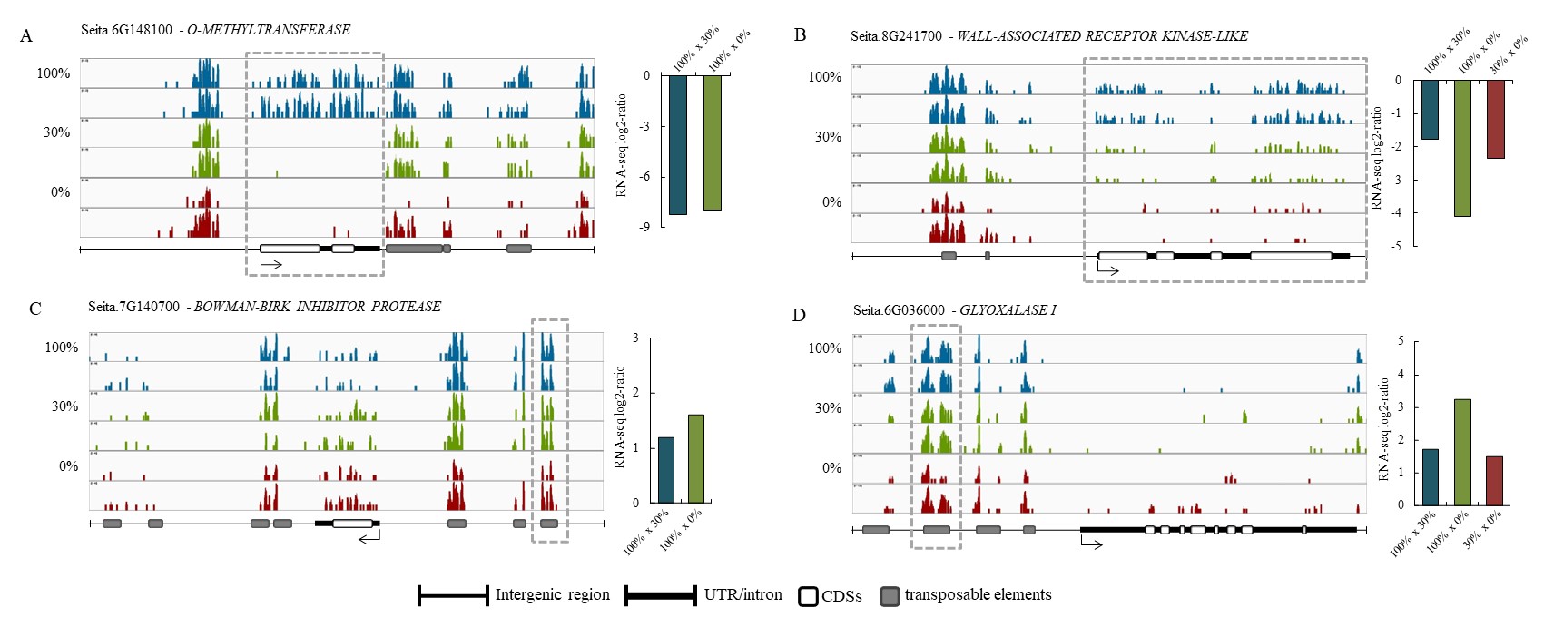 figure 8.igv srdat srdal and rnaseq